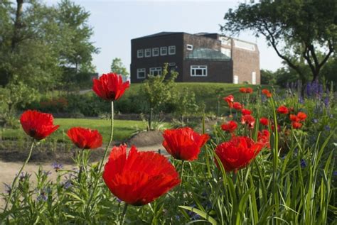 lrke nolse kreste|Nolde Stiftung Seebüll